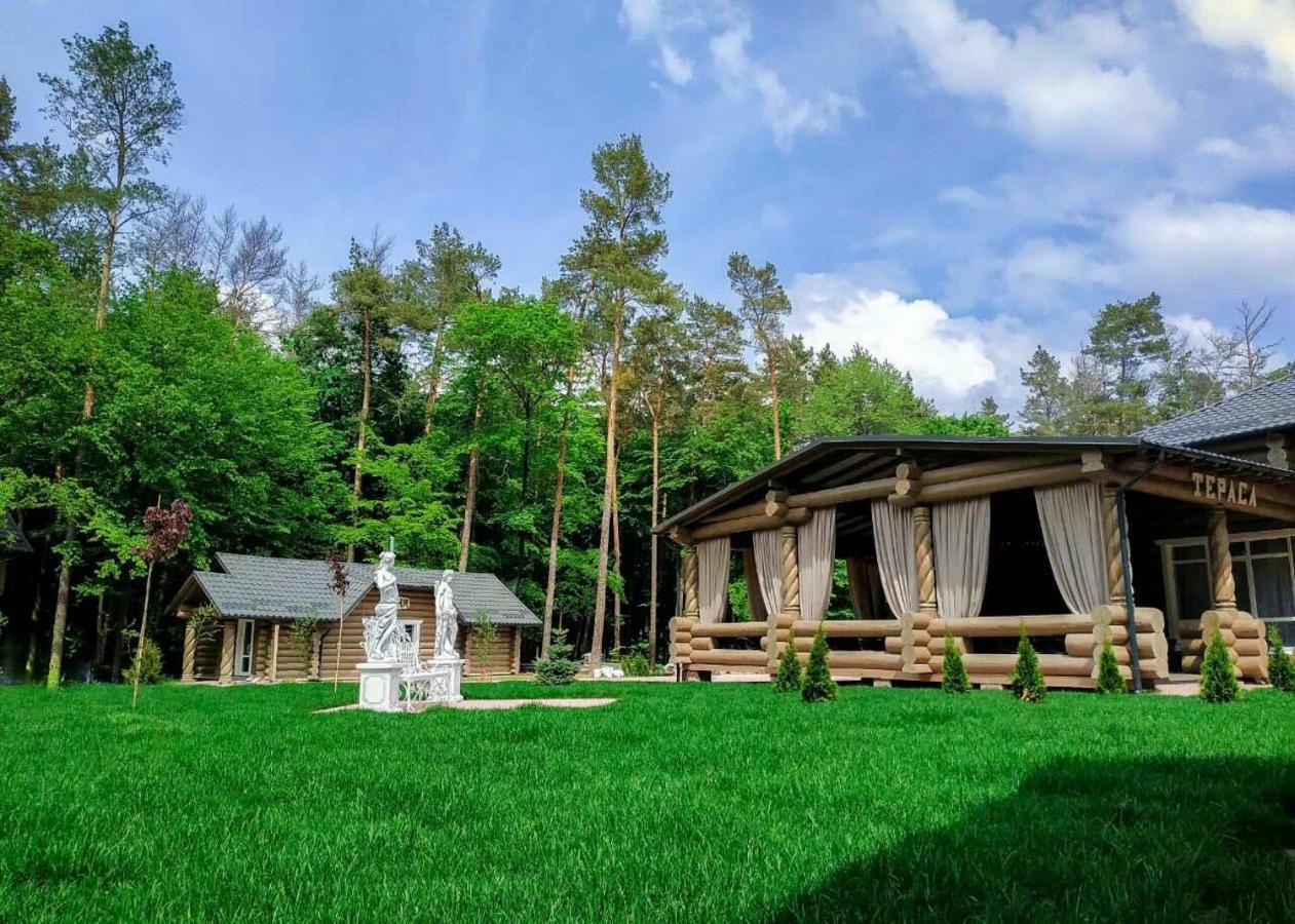 Еліт Версаль Villa Khmil'nyk Ngoại thất bức ảnh